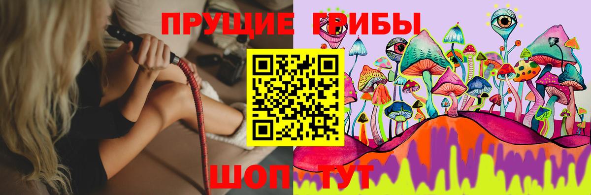 Псилоцибиновые грибы GOLDEN TEACHER  Вход с VPN  как найти   Благодарный  Галлюциногенные грибы ЛСД 